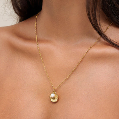 Seashell Necklace